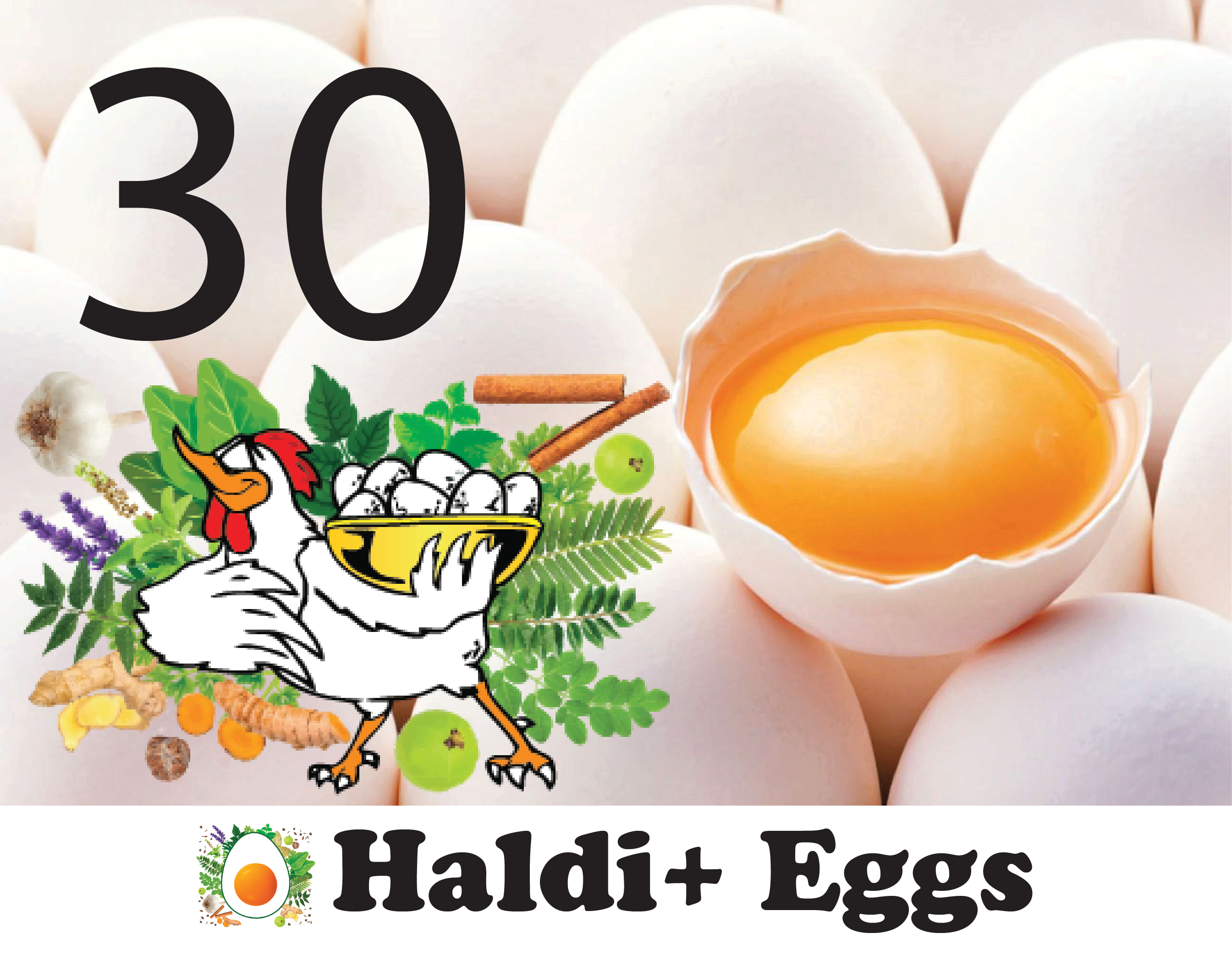 Haldi+ Egg 30